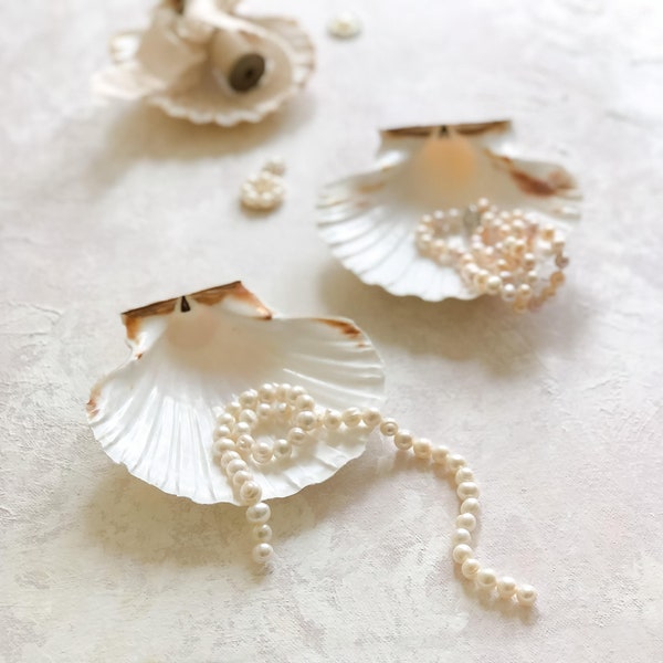 Natural Sea Shell Pearl White ~ Wedding Photography Flat Lay Styling Props Small Trinket Dish for Stamps Rings Pin Wax Seals Light Atelier