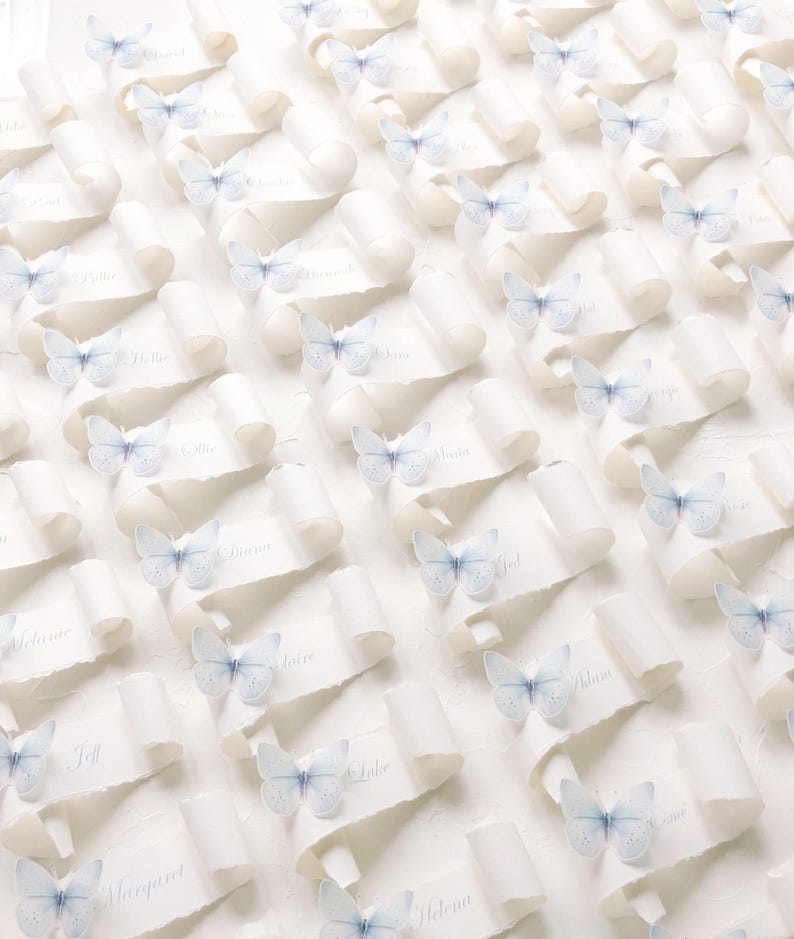 May include: A collection of white paper scrolls arranged in a grid pattern, each featuring a small, light blue butterfly accent. Each scroll displays a printed name in a cursive font, creating a uniform display of individual place cards.