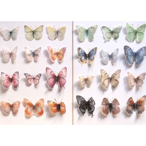 May include: A collection of twenty-four individual butterfly cutouts arranged in a grid across two panels. The butterflies feature a variety of watercolor-style patterns in shades of pink, orange, blue, green, brown, and white with delicate wings.