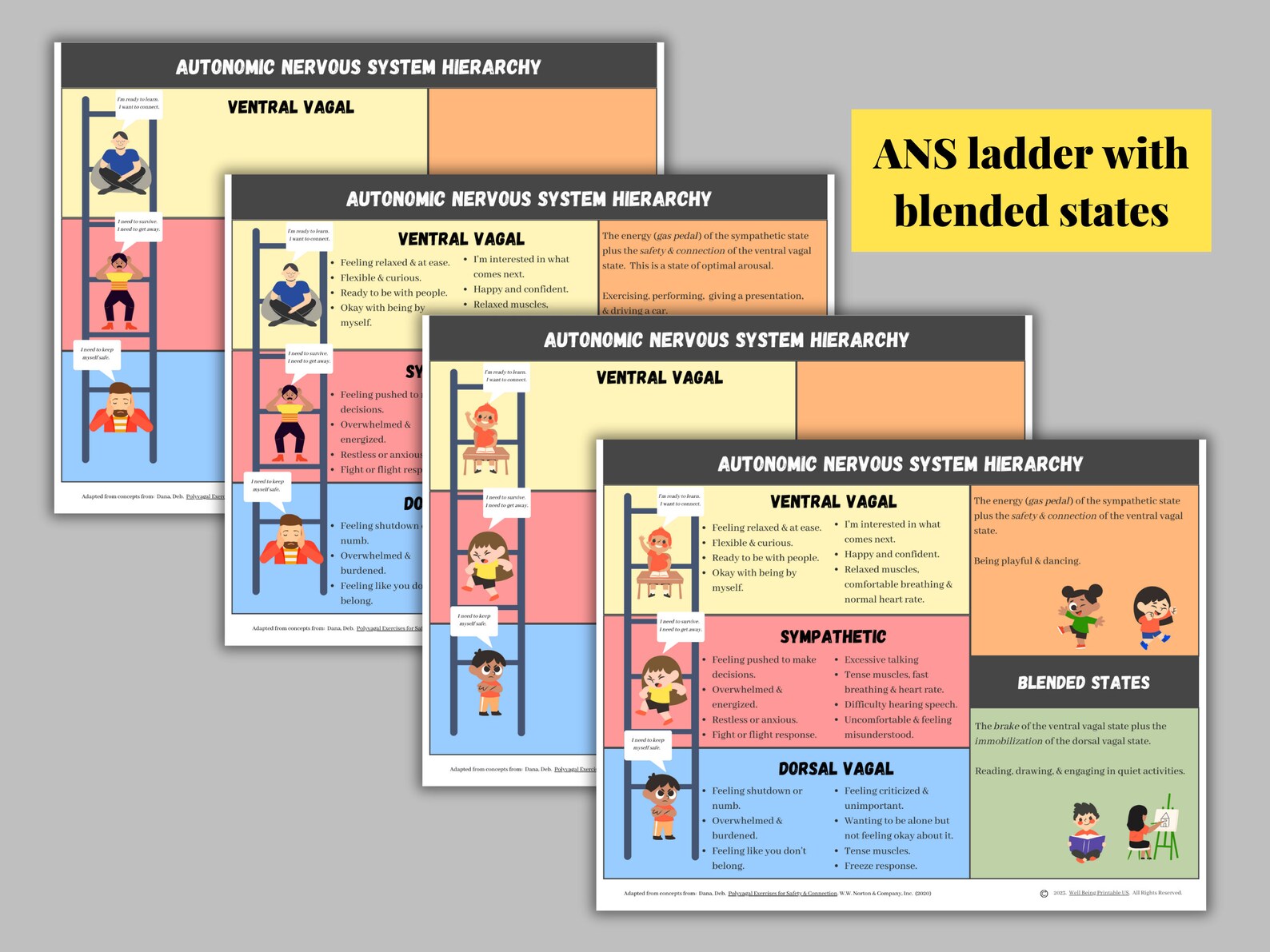 Visual Aid Ladder Savings Bundle | ANS Ladders | Neuroceptive Cues | Reading Body Cues ...
