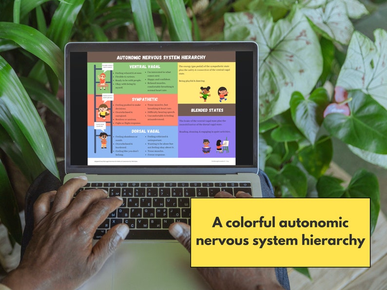 May include: A colourful infographic on a laptop screen explaining the autonomic nervous system hierarchy with four different states: ventral vagal, sympathetic, dorsal vagal, and blended states. Each state is represented by a cartoon character and a list of associated feelings and behaviours.