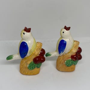 Vintage singing birds salt and pepper shaker set made in Japan