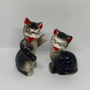 Set di saliera e pepiera vintage Angry Cats