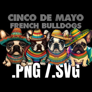 Cinco De Mayo French Bulldogs SVG, svg sombreros, 5 de mayo svg, bundle svg cinco de mayo, frenchie svg, png sombrero