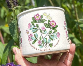 Botanic Garden Plant Pot Ceramic 1818 Rhododendron White and Pink Beautiful Flowers