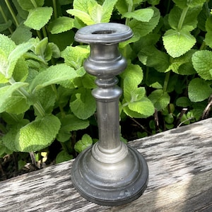 May include: A pewter candlestick holder with a round base, a slender stem, and a flared top. The candlestick is set on a weathered wooden surface, with lush green foliage in the background. The metal has a dark, aged appearance.