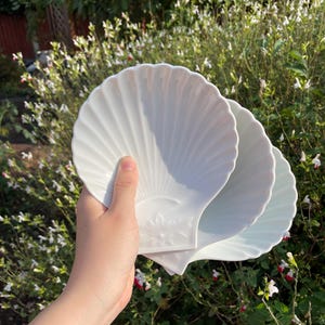 May include: Three white, shell-shaped ceramic plates. The plates have a ridged texture and a decorative floral design at the base. The plates are held in front of a background of green foliage and white flowers.