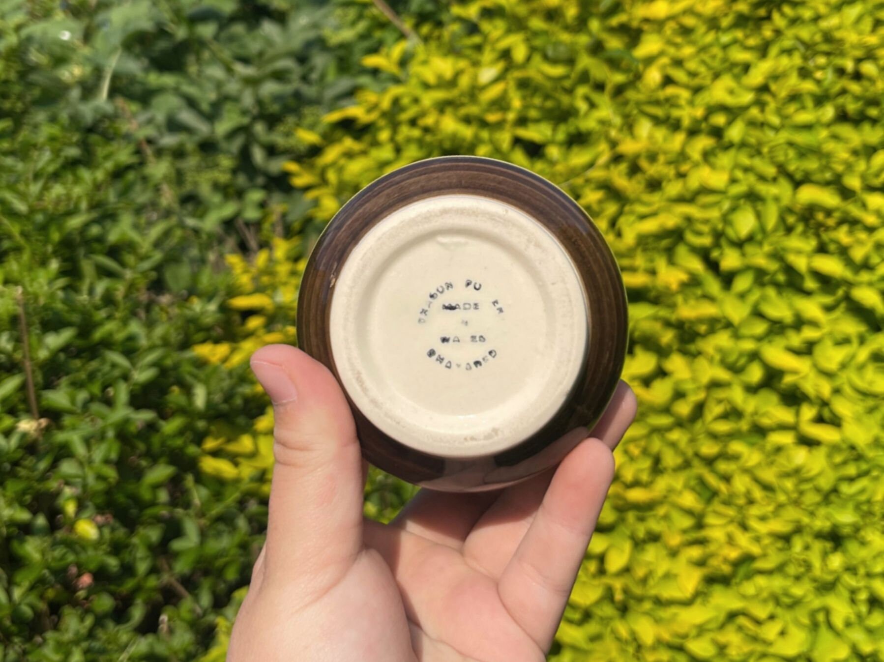 Vintage Welsh Dragon Pottery Rhayader 1960s Striped Vase Etsy