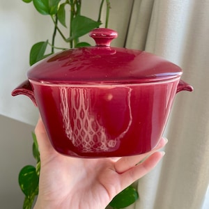 Peut inclure: Un plat à casserole en céramique bordeaux avec un couvercle assorti. Le plat a deux petites poignées et un couvercle arrondi avec un petit bouton. Le plat est tenu dans une main, avec une plante verte et un rideau en arrière-plan.