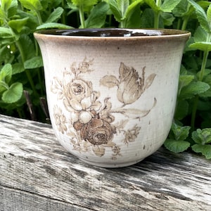 May include: A ceramic planter with a beige base and a dark brown rim. The planter features a floral design in shades of brown. The planter is sitting on a wooden surface, with green foliage in the background.