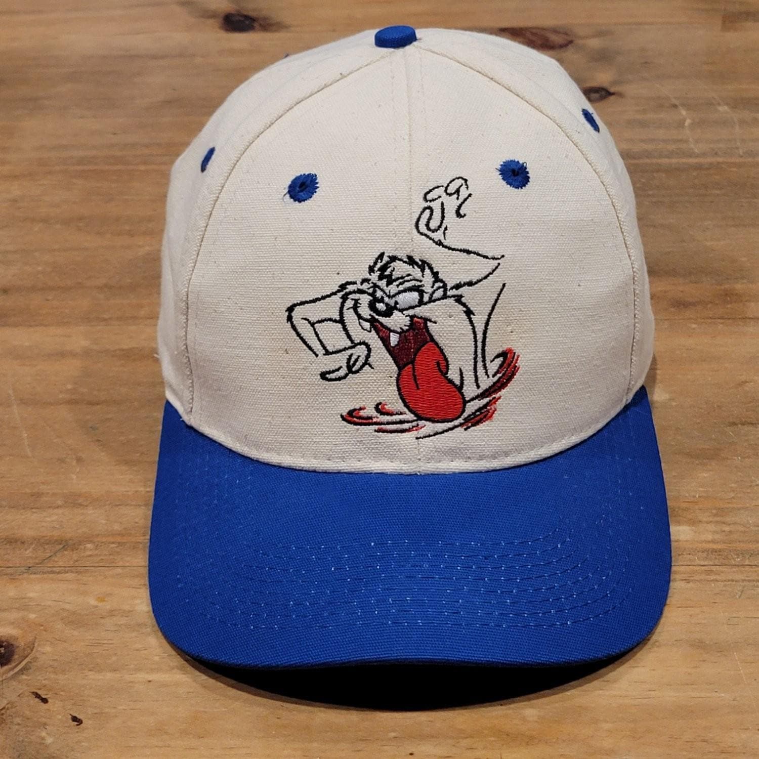Warner Bros Cap - Etsy