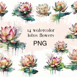 Clipart di loto - Clipart fiore dell'acquerello - Acquerello Lotus - Fiore PNG - Fiore Clipart - Sfondo trasparente
