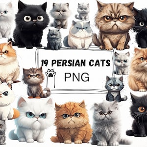 Persian cats cartoon Clip Art Cricut - Cat clip art - persian cat clipart - cat png - transparent background - cat image - cat printable