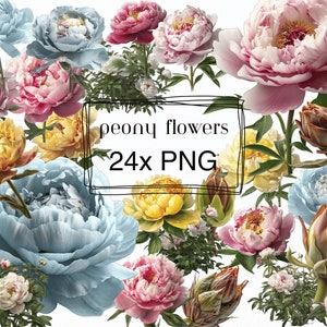 Peony flower Clipart - Flower Peony clipart - Peony- Flower PNG - Flower Clipart - Transparent background - Floral Clipart