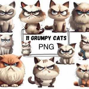 Grumpy cats cartoon Clip Art Cricut - Cats clip art - Grumpy cats clipart - cats cartoon - transparent background - Commercial use
