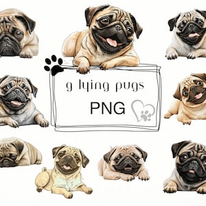 Pug cartoon lying Clip Art Cricut - Pug clip art - pug clipart - pug png - transparent background - pug anime - pug image - pug printable