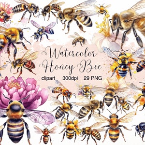 Watercolor Bee, Honey Bee, Watercolor Clipart, Bees and Flowers, Commercial Use, Transparent Background PNG, Bee PNG, Bee Illustration