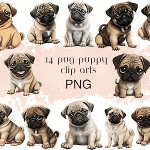 Pug puppy cartoon Clip Art Cricut - Pug clip art - pug clipart - pug png - transparent background - pug anime - pug image - pug printable