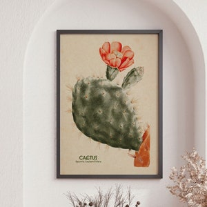 Vintage Cactus Print, Vintage Botanical Art, Floral Vintage Wall Art Decor