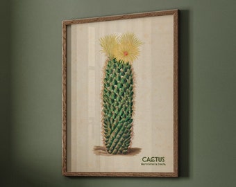 Vintage Cactus Print, Arizona Cactus Art, Green Wall Art, Living Room Wall Art