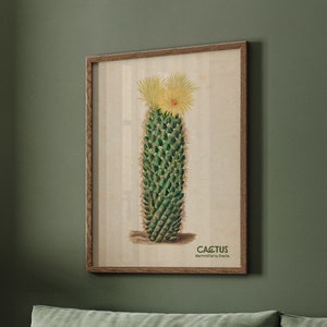 Vintage Cactus Print, Arizona Cactus Art, Green Wall Art, Living Room Wall Art