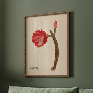 Mexican Decor, Cactus Plant Artwork, Living Room Wall Art, Eclectic Wall Art