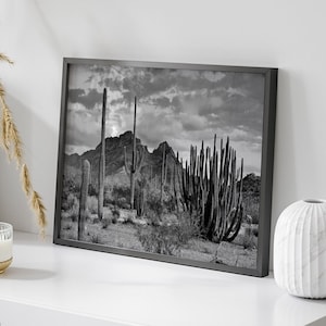 art mural vintage paysage désertique, art du désert noir et blanc, décoration sud-ouest, grande art mural cactus du désert, décoration sud-ouest, art de cactus