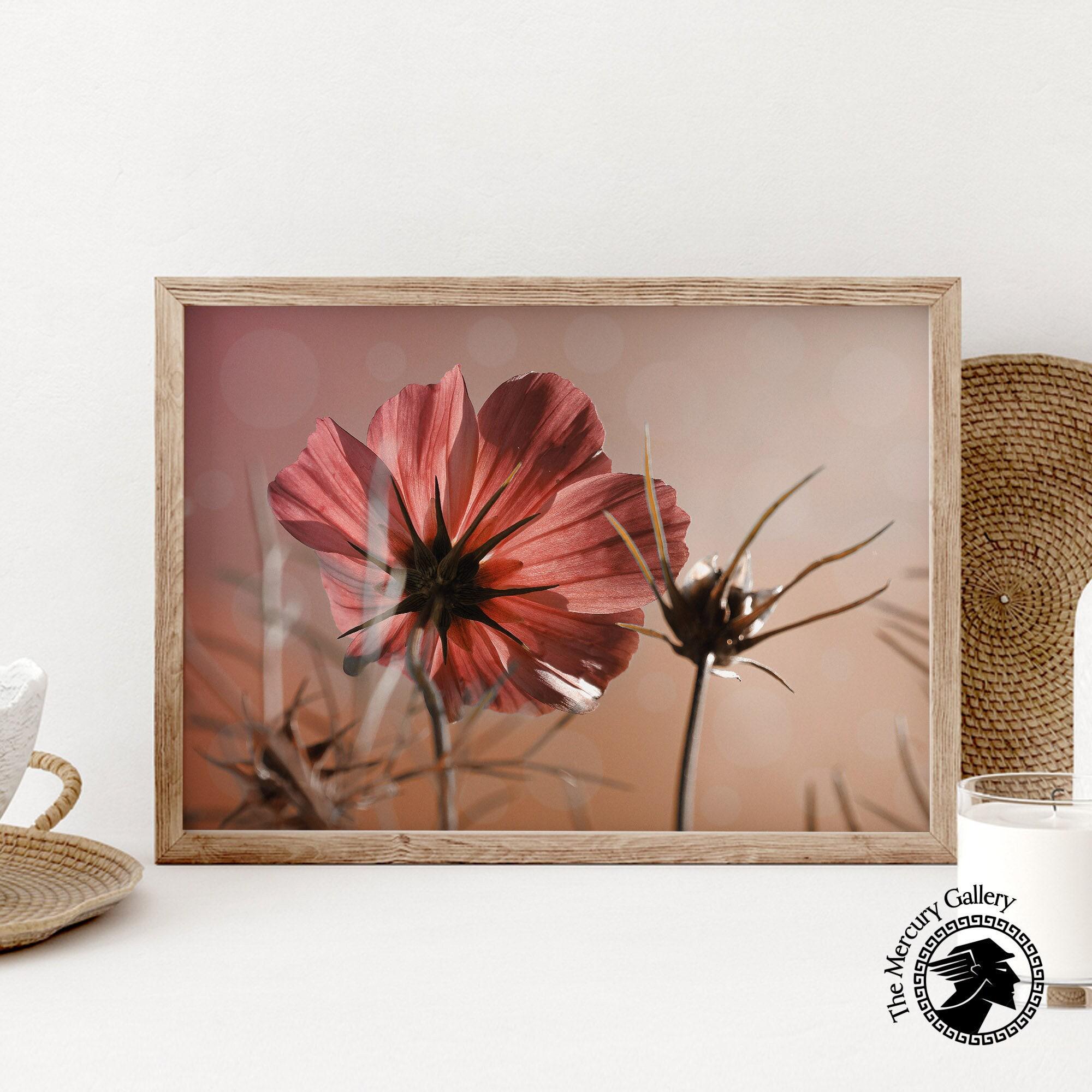 Pink Cosmos Flower Art Print, Botanical Poster - Etsy