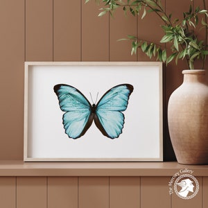 Butterfly Wall Decor, Girl’s Room Decor, Vintage Decor, Retro Prints