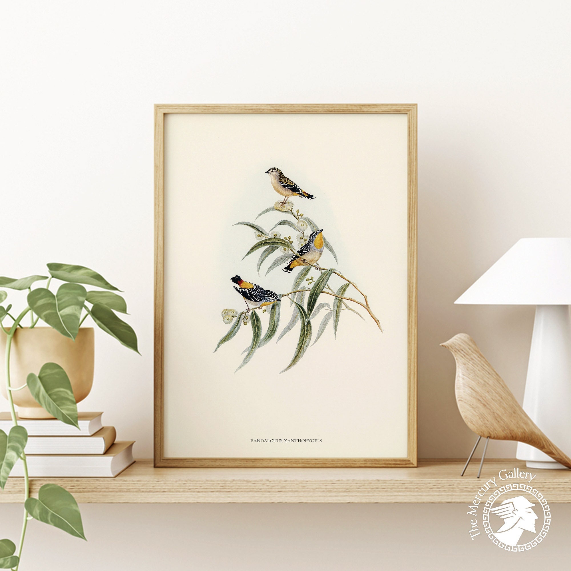 Antique Bird Spring Wall Decor, Yellow-rumped Pardalote, Enchanting Decor, Home Decor, Minimalist Wall Decor, Living Room Wall Decor