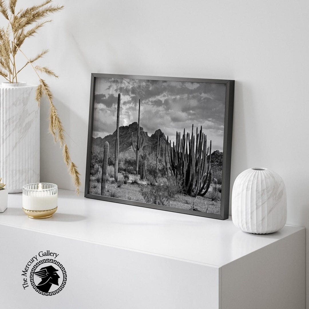 Vintage Black and White Desert Cactus Landscape Art Print - Etsy