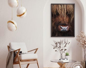Highland Cow Print, Shaggy Scottish Coo, Farmhouse Wall Decor