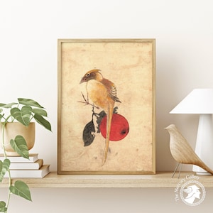 Katsushika Hokusai&#39;s Bird, Hokusai Print, Japan Wall Art, Ukiyo-e Art Japanese Posters, Woodblock Print, Japanese Decor