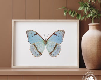 Vintage blauwe vlinderprint, rustieke muurkunst