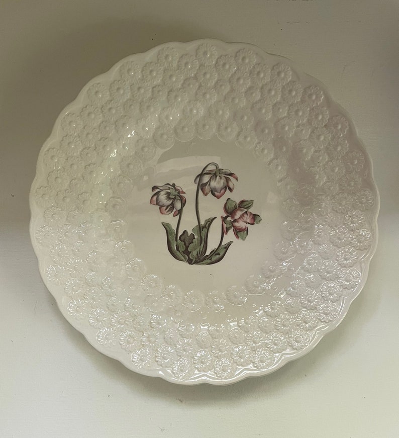 Spode newfoundland 1967 Commemorative Plate With Pitcher Etsy