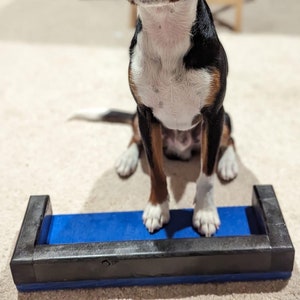 Dog Training Paw Target Platforms