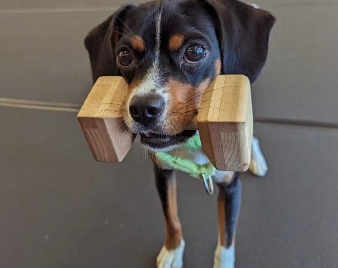 Dog Dumbbells Obedience Trainer Etsy