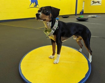 Dog Agility Wobble Board Multiple Sizes