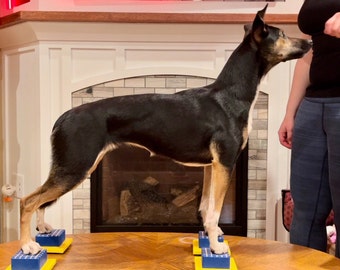 Show Dog Stacking Blocks