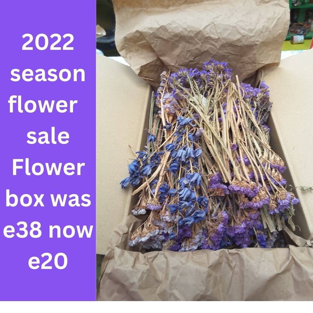 Deluxe Box Dried Organic Irish Flowers Blue Series 20 Plus Etsy
