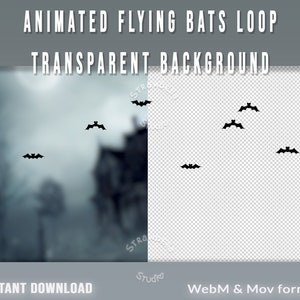 Spooky Halloween Flying Bats Overlay: Twitch Livestream Decoration (Digital Download)