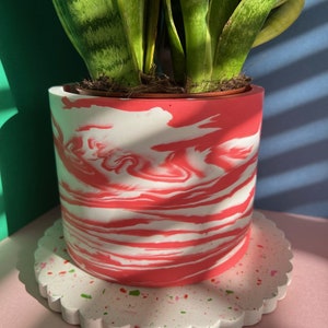 May include: A pink and white marbled ceramic planter with a scalloped white ceramic saucer. The planter has a swirl pattern and the saucer has a speckled pattern.