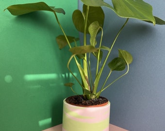 Indoor plant pot | Violet and green Marbled plant pot |Planter | Colourful plant pot | Home decor