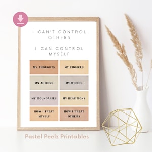 Things I Can Control Poster Therapy Office Decor Calm Down Corner School Counselor Mental Health Classroom Poster Anxiety What I Can Control
