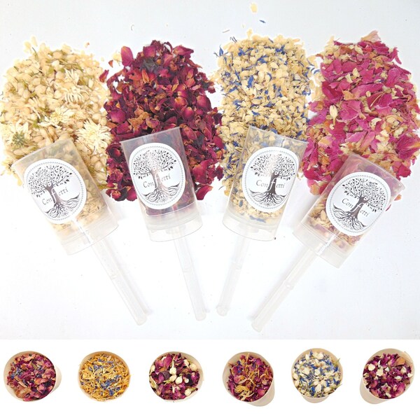 Confetti Cannon Etsy