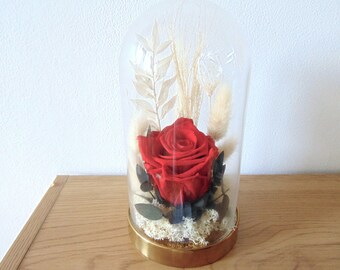 Rose éternelle sous cloche - Cloche déco en verre 20 cm avec rose éternelle et fleurs séchées - Cadeaux et déco