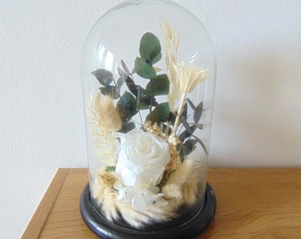 Rose éternelle sous cloche - Grande cloche déco en verre 25 cm avec rose éternelle blanche Eucalyptus et fleurs séchées - Cadeaux et déco