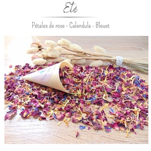 Petits cornets biodégradables avec confettis de fleurs séchées
