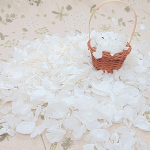 Petali di ortensia bianca essiccata Coriandoli di fiori essiccati per matrimoni - Biodegradabili naturali - Artigianato francese - Marchio Petales Boheme