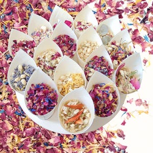 Piccoli coni + coriandoli di fiori secchi naturali per matrimonio: petali di rosa, gelsomino, lavanda, bambù